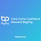 Cara Guna Cashback Reward BigPay